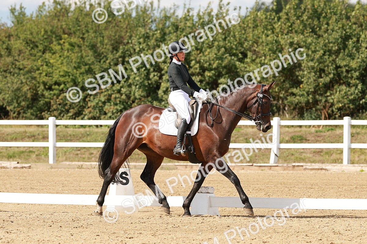 SBM_002458 - Class 11 - Medium 6