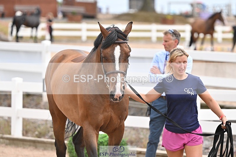 250716-151133-01741 - Trot Up 2.30 to 3.30