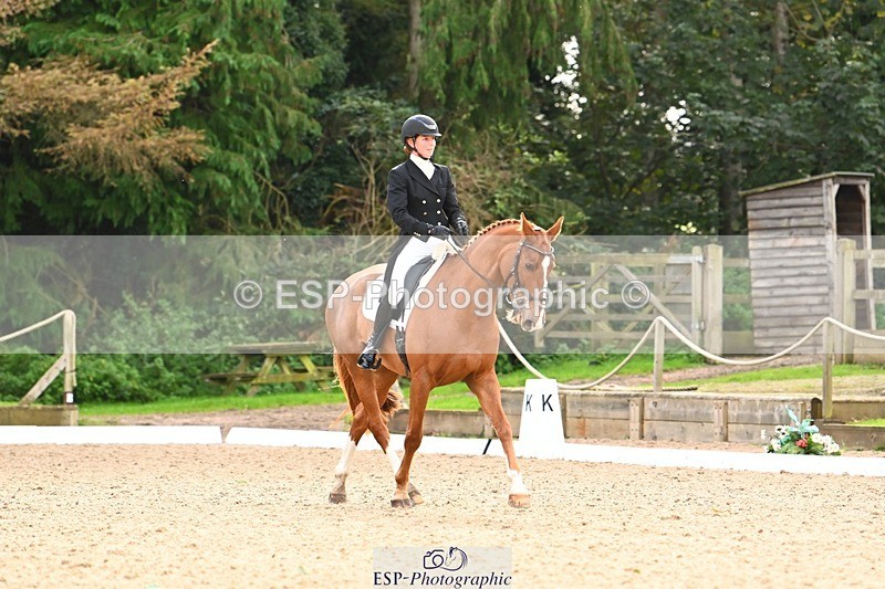 231020-143953-09999 - 309-CROSSTOWN.FINTANS.LAST-Catherine.Burrell-DR