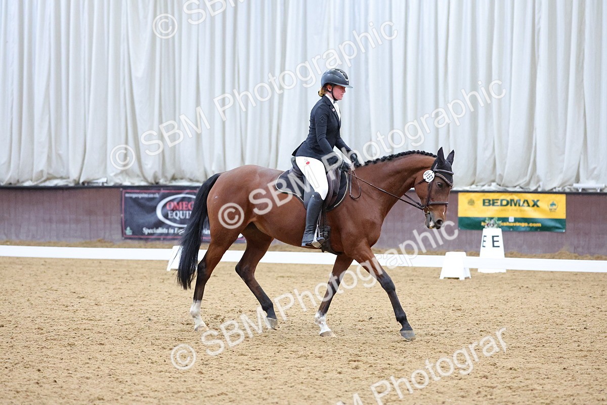 SBM_003905 - Novice