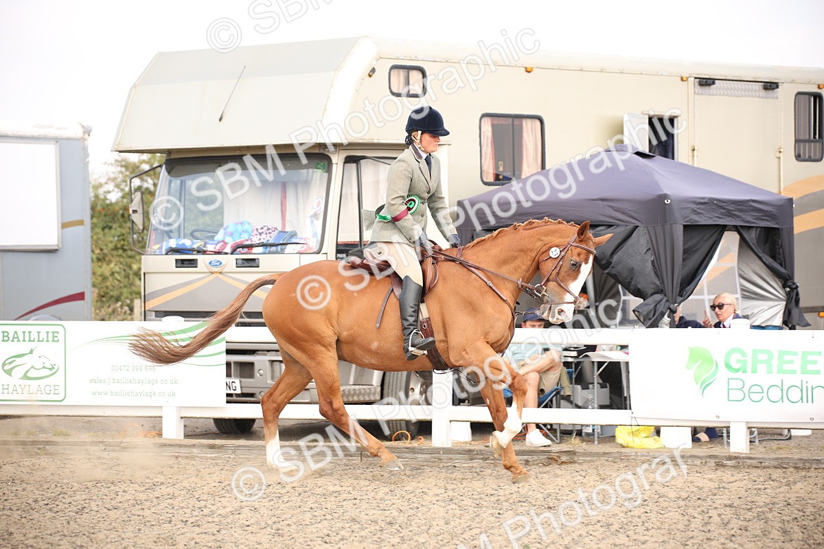 SBM_13622 - Class 406b - Working Veteran 50cm (20+)