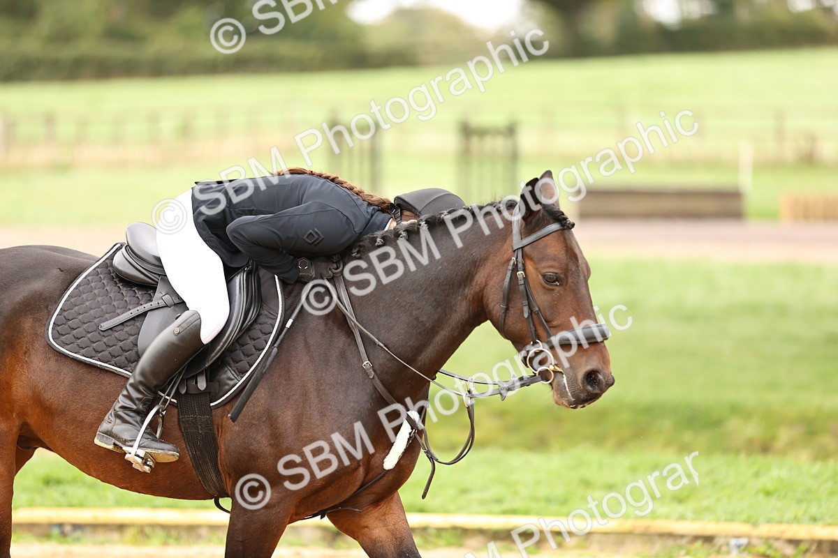 SBM_58301 - J41 - Grand Tour Horse & Pony 95cm