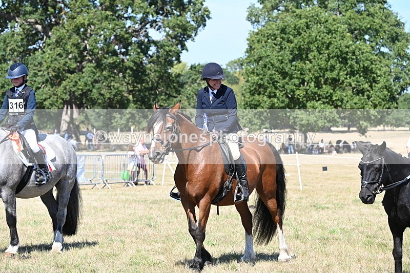 WJ6_8476 - Class 37a Best Loan Pony Ridden