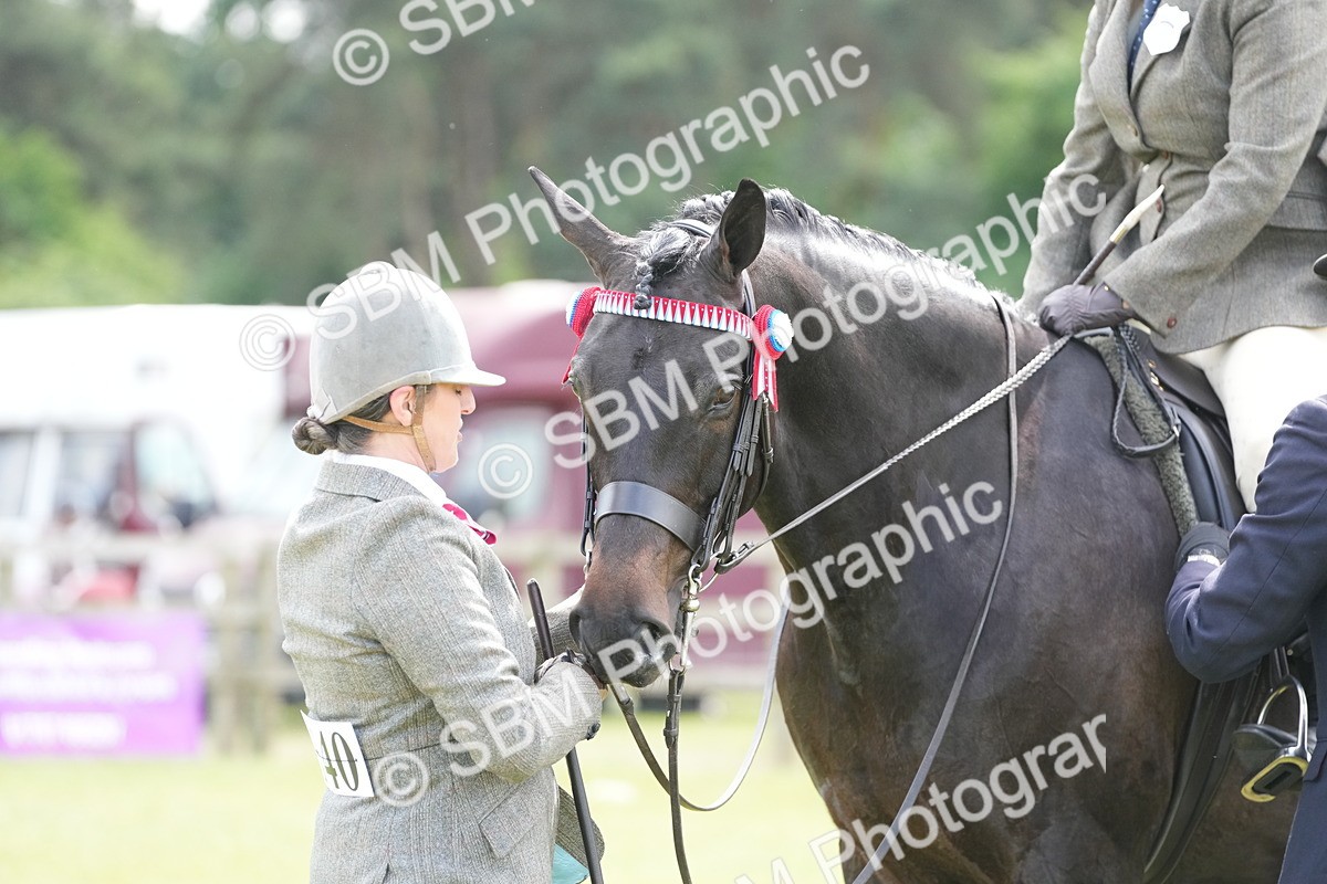 SBM_16191 - Class 105-106 - RIHS Riding Horses