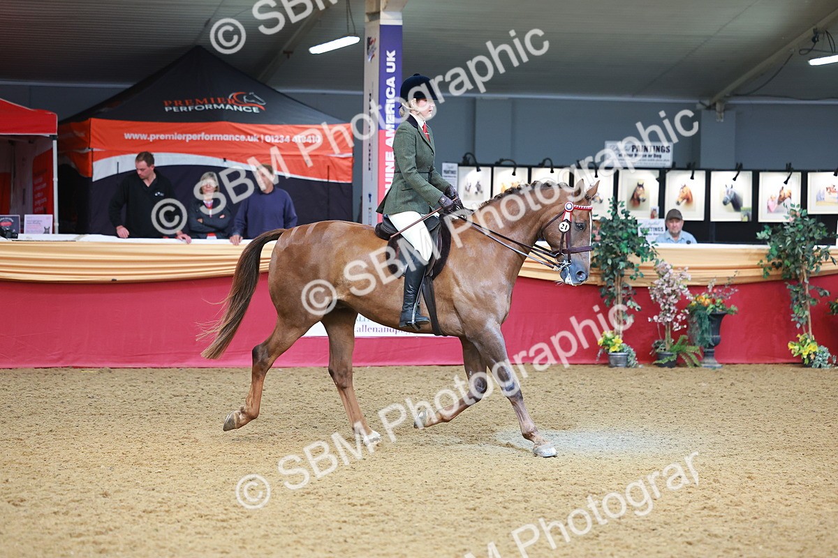 SBM_09772 - Class 102 - HOYS Veteran Qualifier - Ridden Veteran