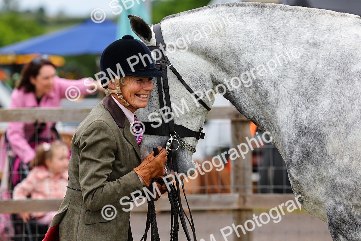 SBM_02543 - Class 9-11 Side Saddle including LIHS Rising Star Ladies Show Horse
