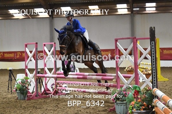 BPP_6342 - CLASS 2  Club/ Unaffiliated 80cms Open