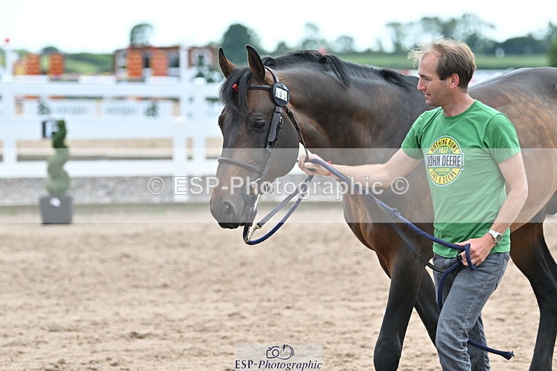 240717A-143131-02108 - Trot Up 2pm to 3pm - This folder is not in time order