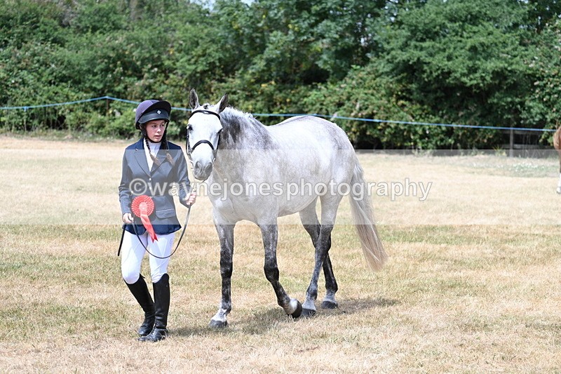 WJ7_2075 - Prettiest Mare Champs