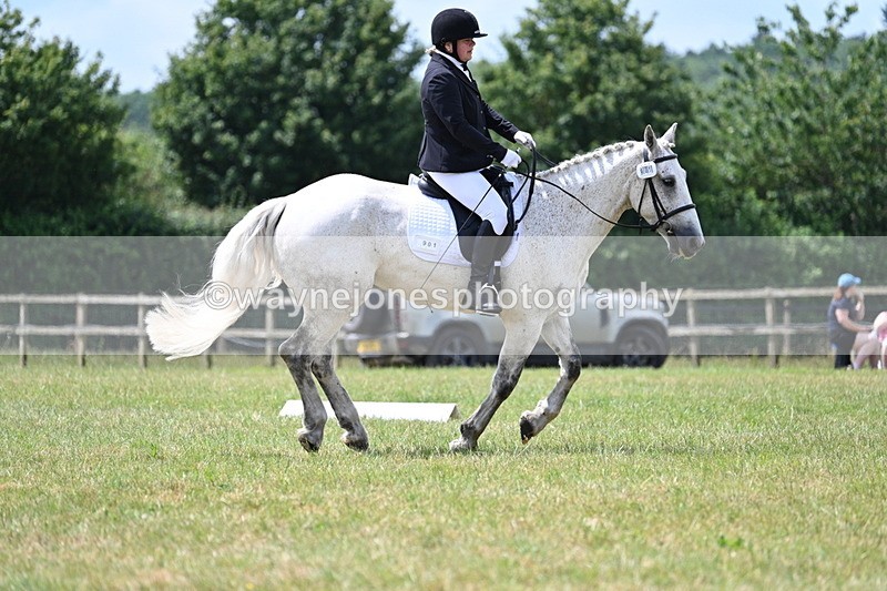 WJ7_4953 - Time 11:22 to 11:51