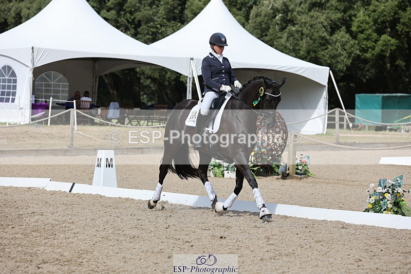 250809A-155934-04717 - Medium GOLD Presentations