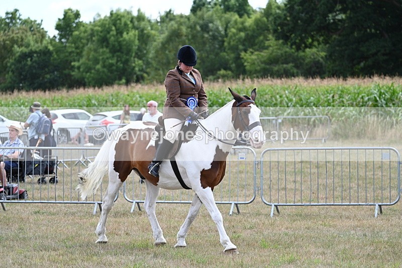 WJ7_5671 - Class 12 Ridden Cob