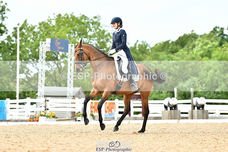 230702A-161103-11125 - Cls 37 + 42 FEI PSG + GP