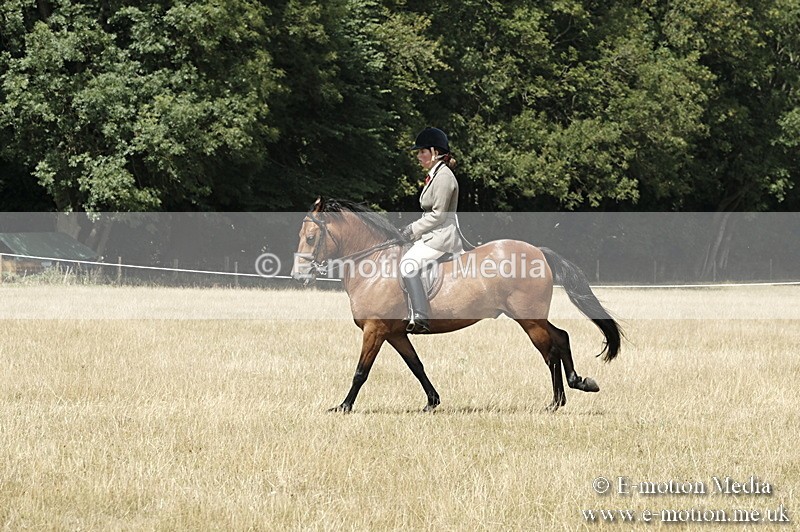 _PJP5974 - BVRC Show 2018 Ring 1