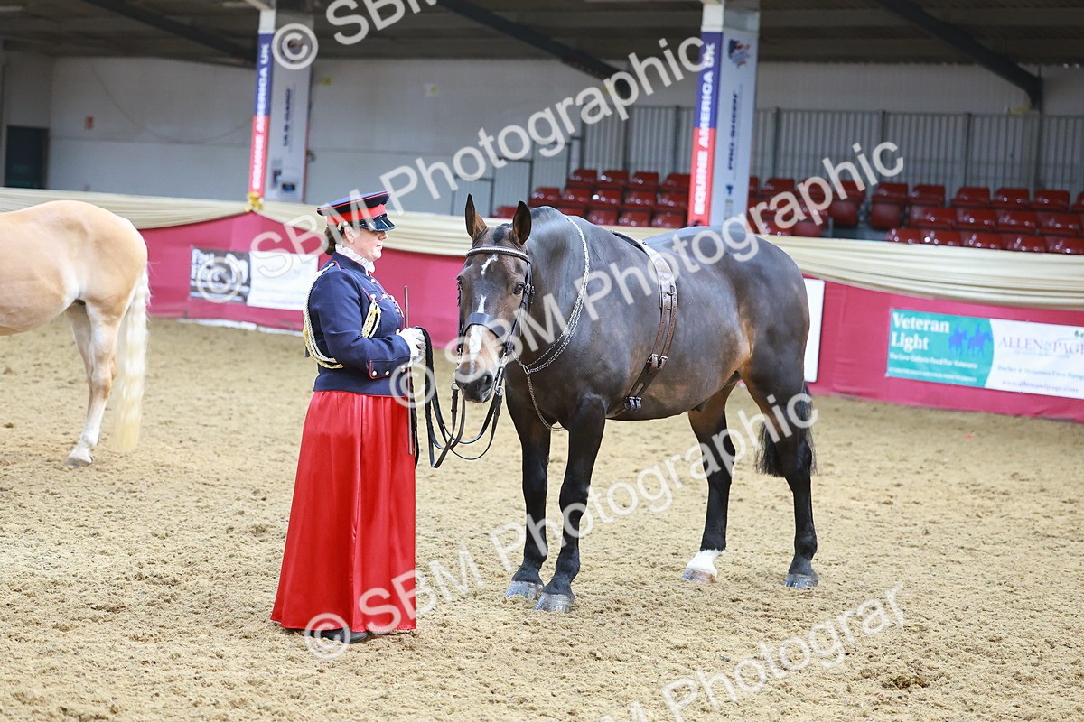 SBM_13649 - Class 104 - IH  Costume