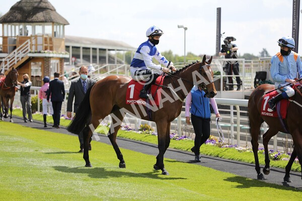 yr13052021r1-14 - Race 1 1.40pm The Matchbook Betting Exchange Stakes