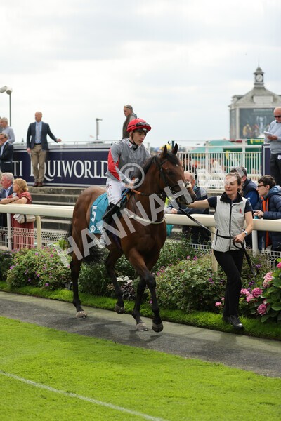 yr04092022r1-6 - Race 1 1.45pm IRE Incentive, It Pays To Buy Irish EBF Novice Stakes