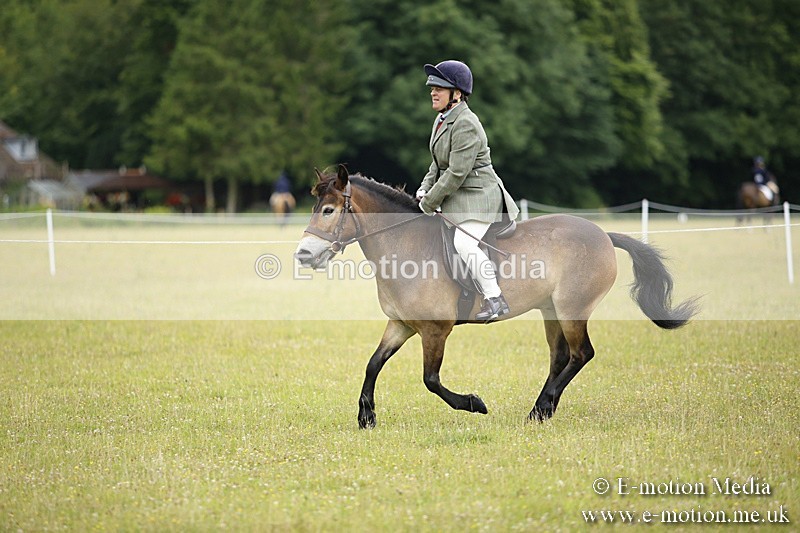 BVR160717-58 - Ring 1 BVRC Show 16/07/17