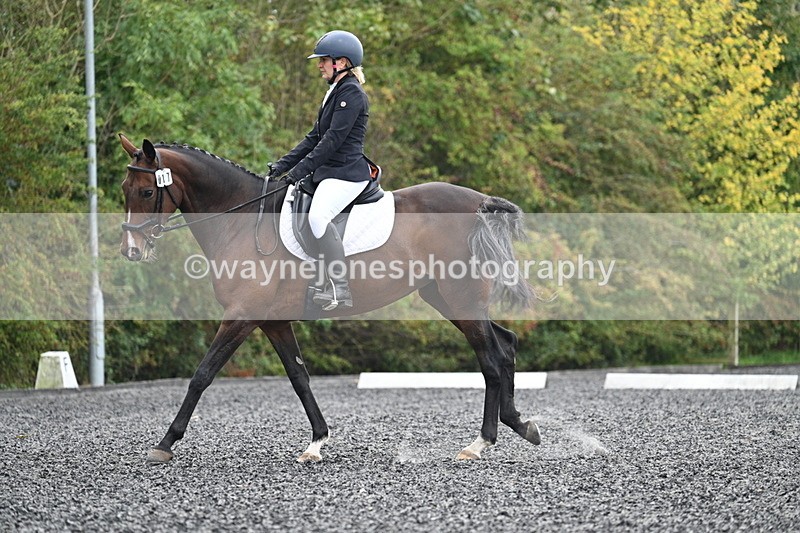 WJ7_3843 - Time 11:04 to 11:38