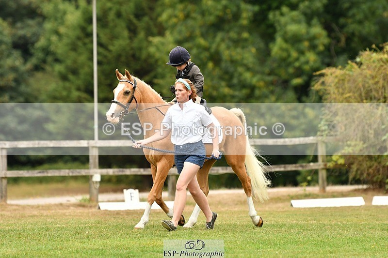 250820A-114901-05309 - 11am to 12