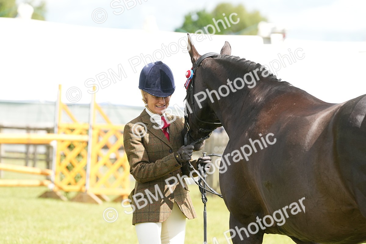 SBM_12944 - Class 99 - RIHS SEIB Working Show Horse