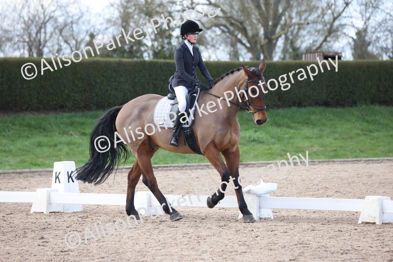 20260228-0803 - Class 6 - Novice 3