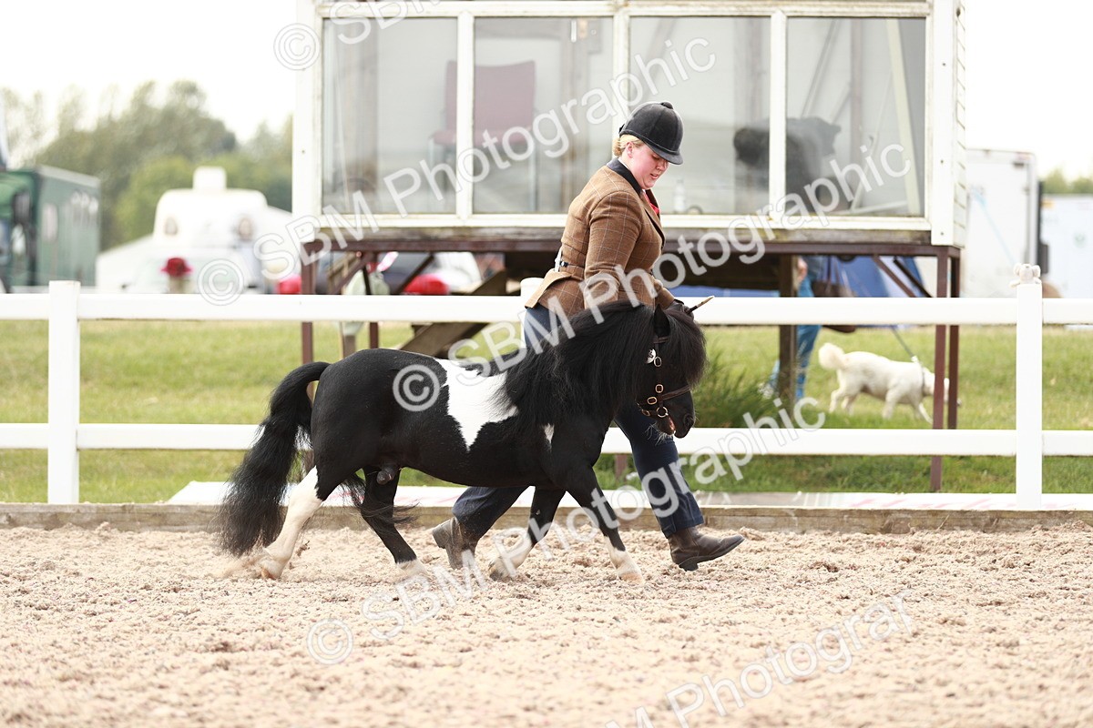 SBM_12408 - Class 207 IH M&M