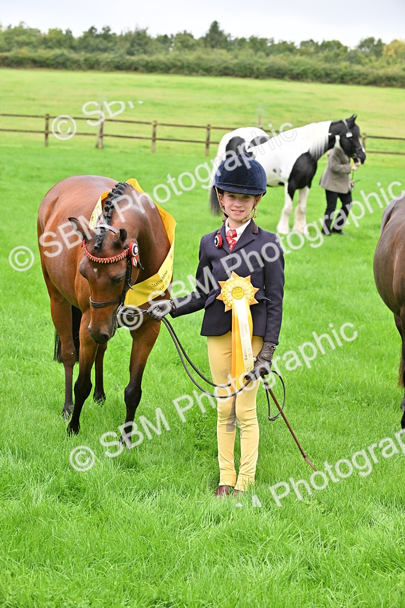 SBM_32663 - S15 - Top Turnout In Hand