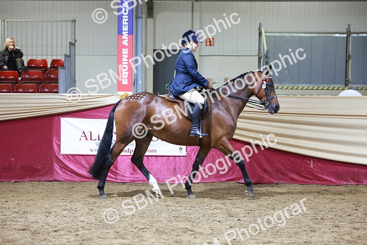 SBM_20695 - Class J - Foreign Breeds Champ