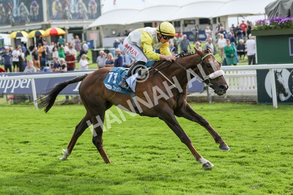 170523-Race 7-Kihavah-7071 - Race 7 5.15pm Stuey Weston & Friends Getting Out Handicap