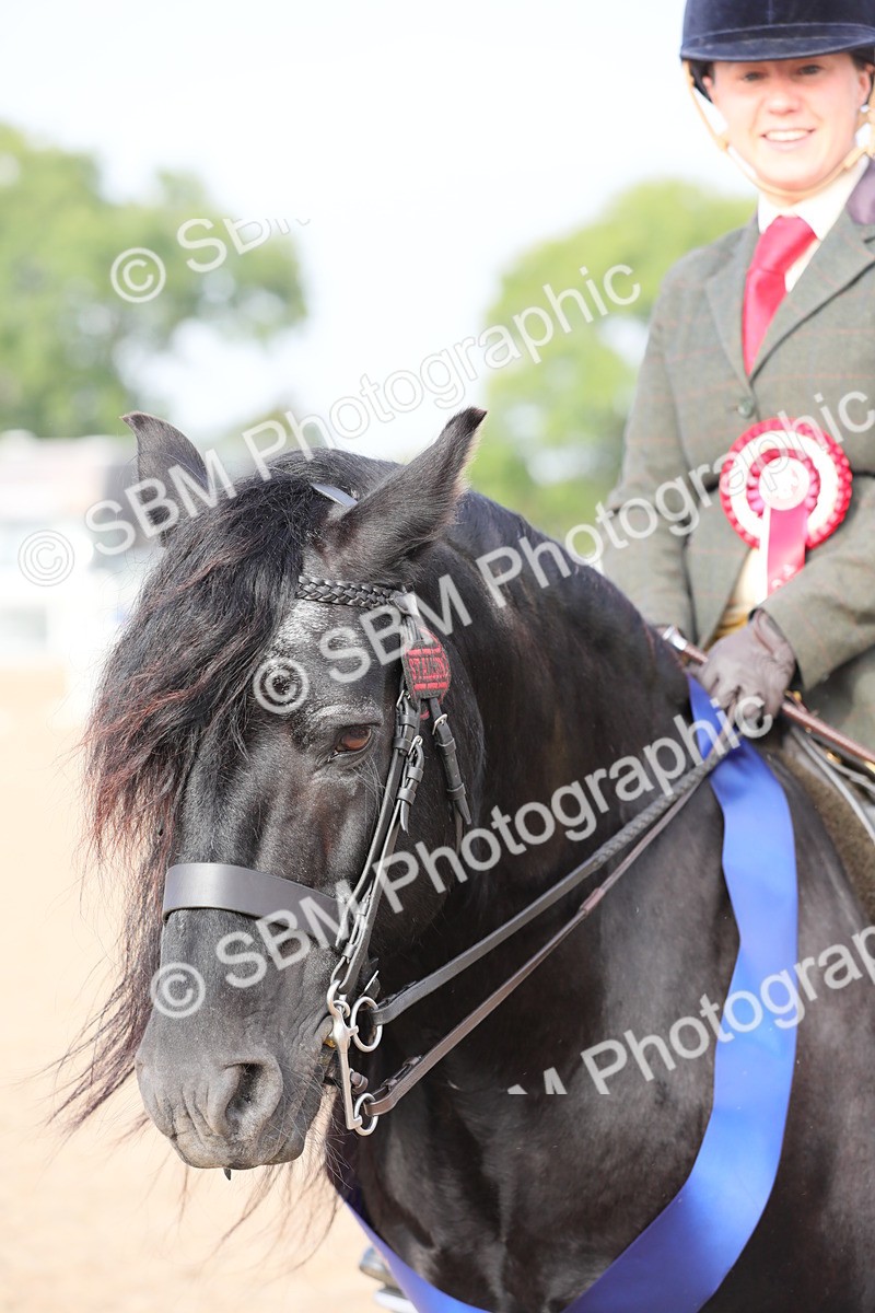 SBM_10159 - Class 302 Ridden M&M -Large Breeds