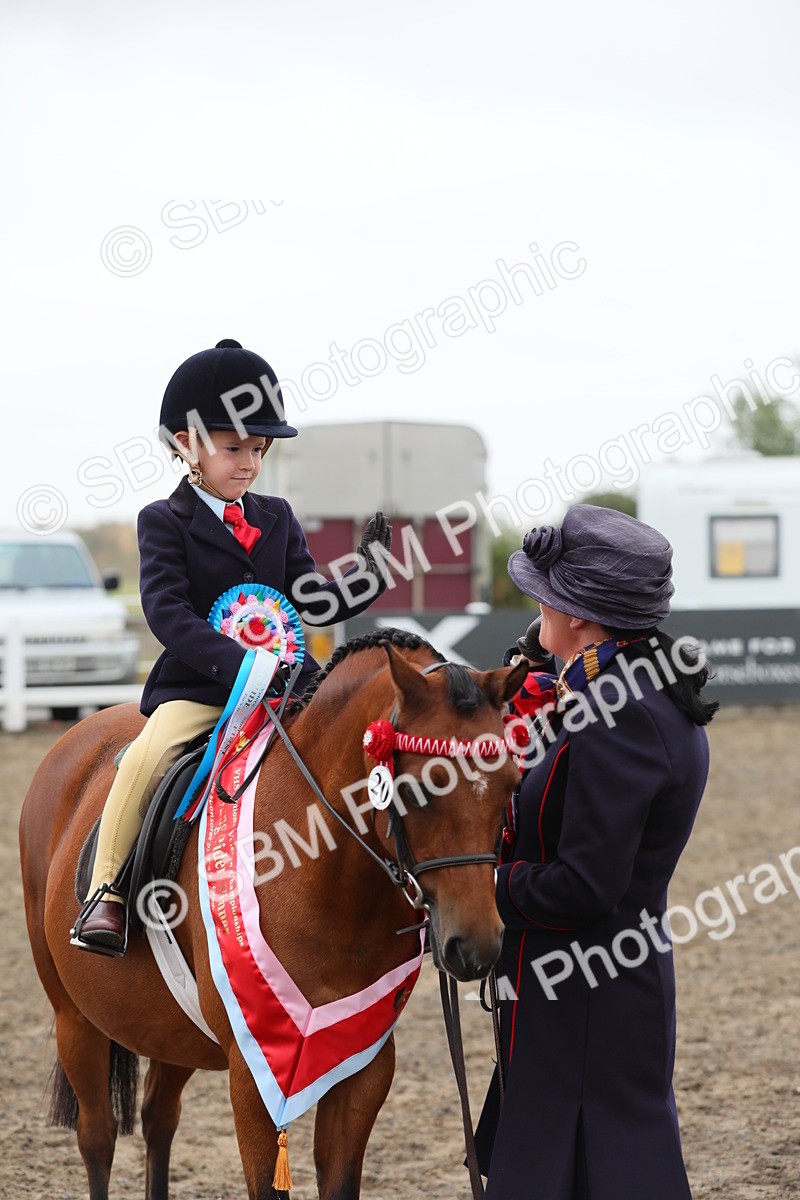 SBM_21870 - Class 806 - Young ridder 10 Yr & Under