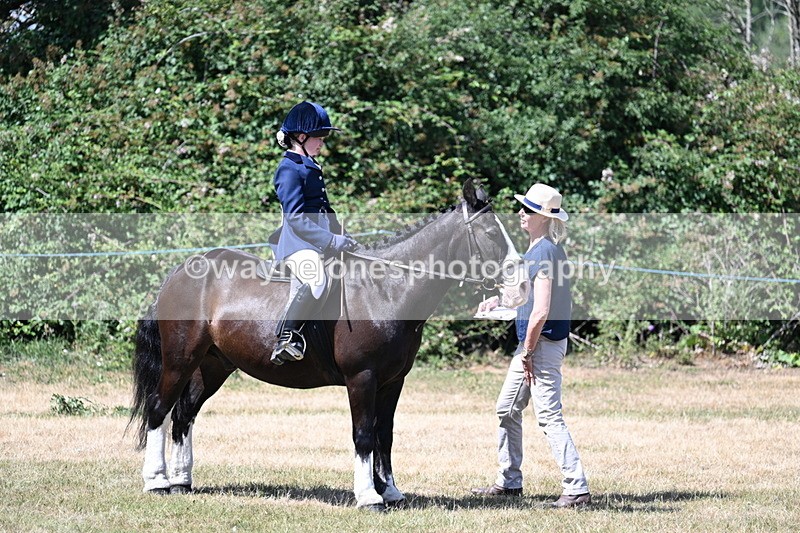 WJ7_3673 - Class 8 Ridden Veterans