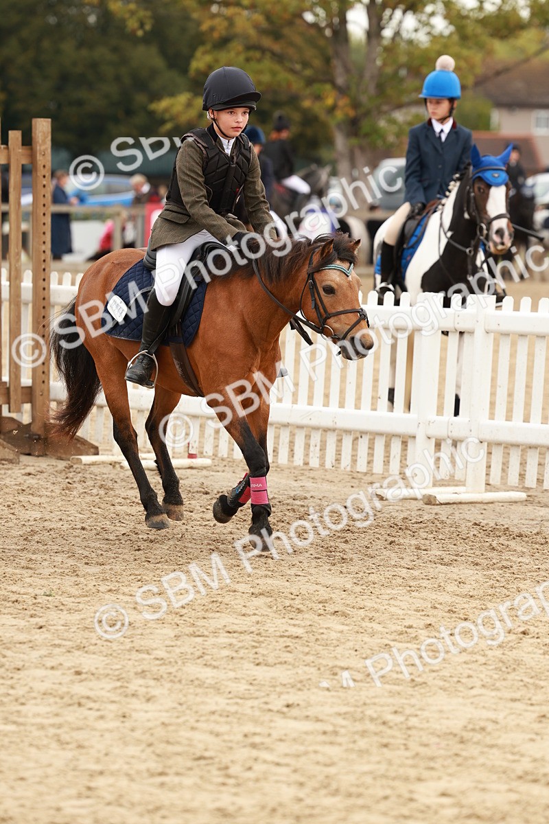 SBM_57617 - J11 - Junior Pony 50cm Championship