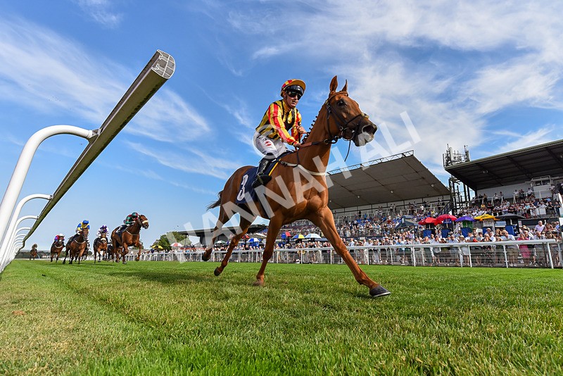 130826-Race 6-Saxon Grace-5272 - Race 6 16.45pm Racing Again On Saturday 29 August Handicap