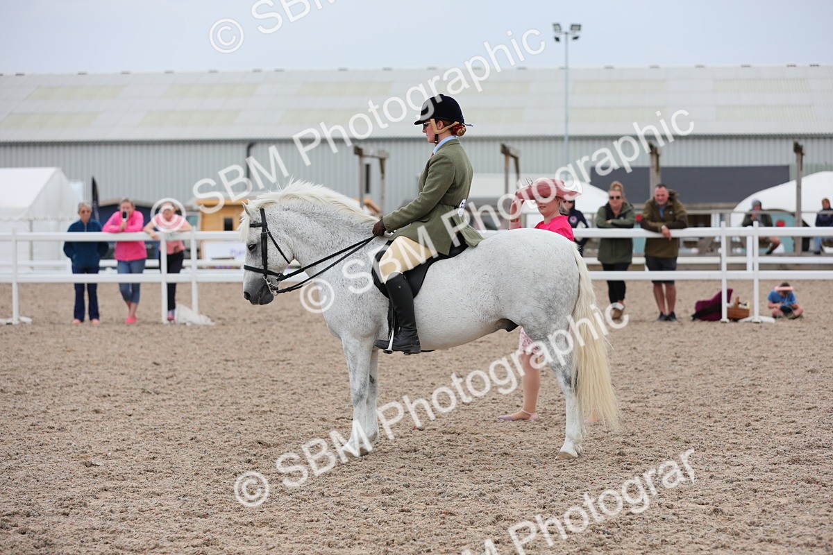 SBM_18069 - Class 316 Best Pony/Rider Combination