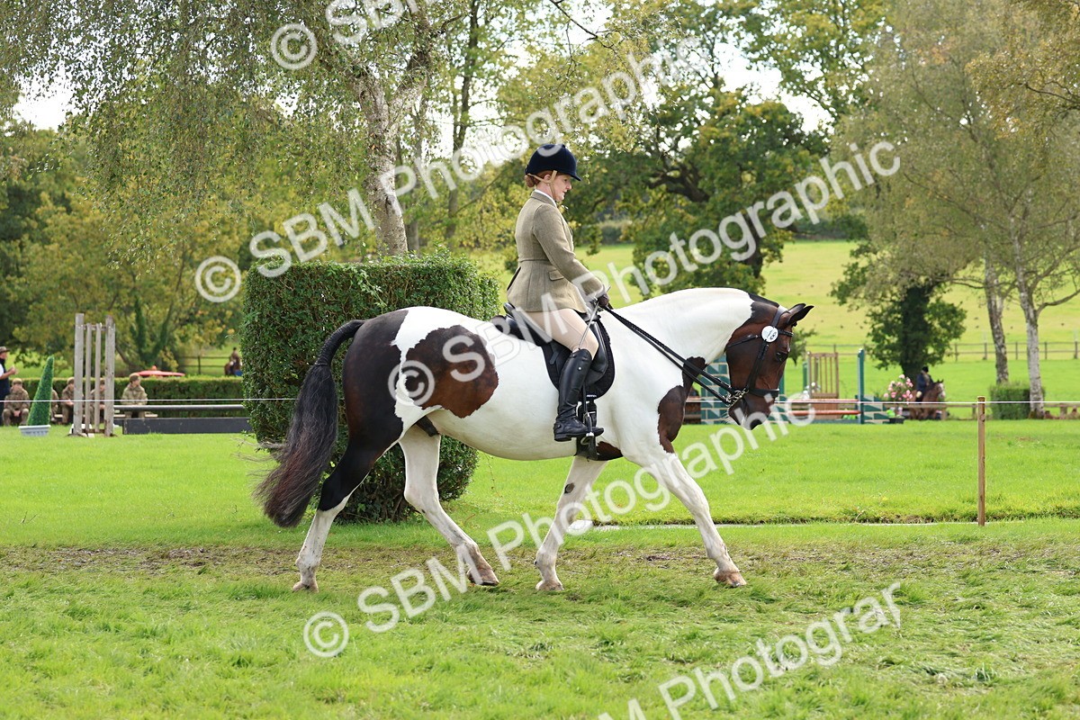 SBM_45166 - S27 - Young Veteran Ridden