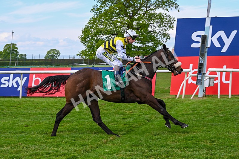 020526-Race 1-Arapaho Gold-8938 - Race 1 1.35pm Steve Poskitt's 60th Birthday Restricted Maiden Stakes