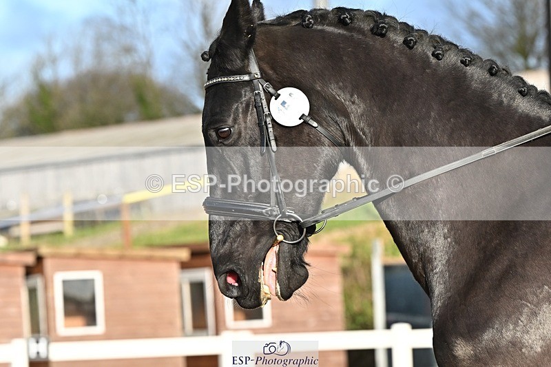 241214-132946-02451 - 156-Jo.Roberts-MajesticC