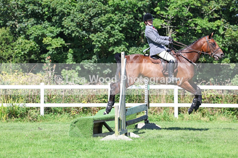 3E7A8304 - Class 4: Novice working Hunter