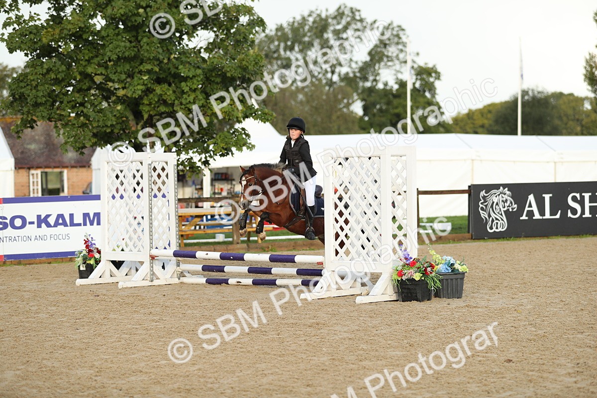 SBM_34151 - J60 Clear Round 50cm