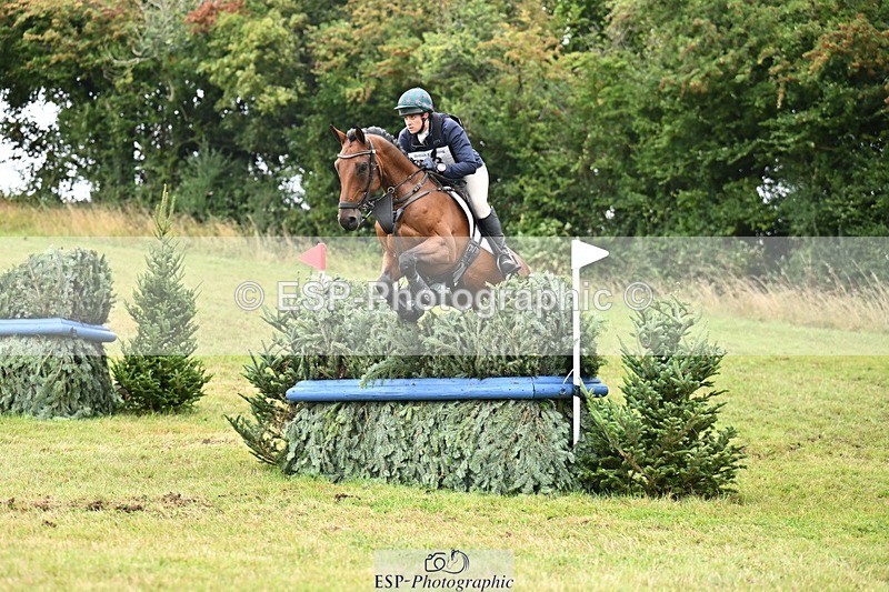 TS_b3469056 - SAT BE 90 Recovered Files fence 8