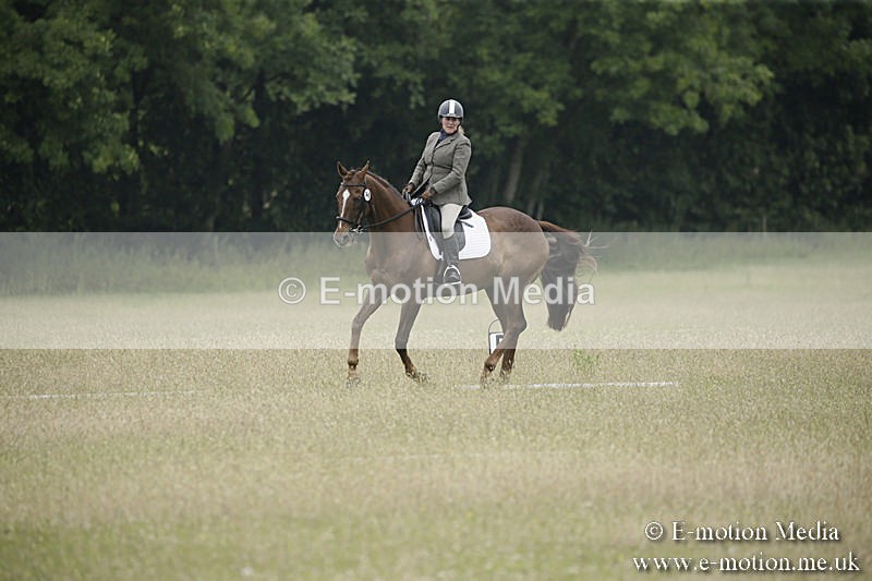 B230619-0790 - Bourne Valley Riding Club Summer Show 23/06/19