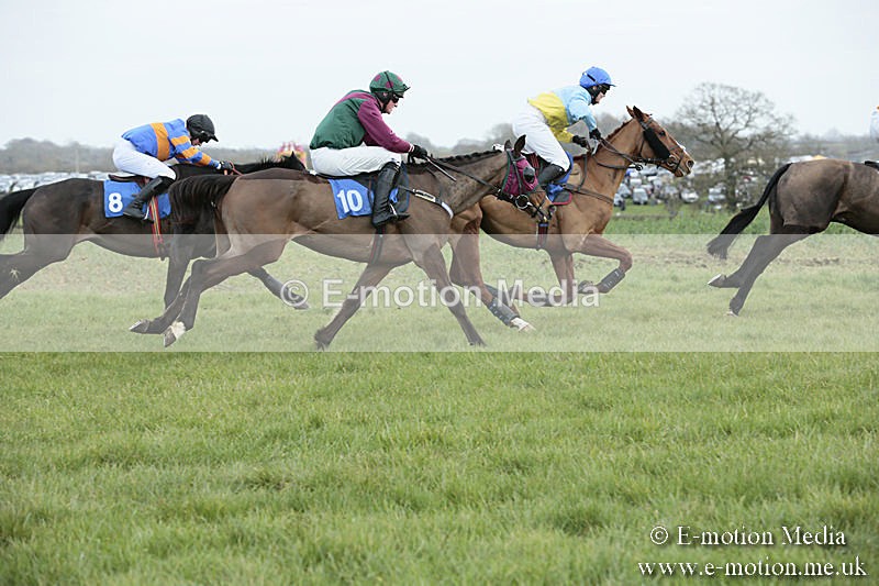 PtP 230319 128 - VWH Hunt Siddington Point-to-Point Racing 23/03/19