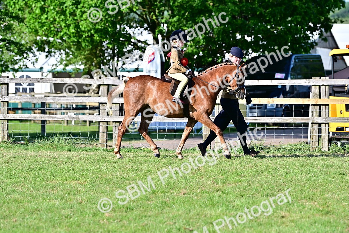 SBM_19912 - Class 103 - 105 - TSR Ridden Amateur of the Year Plaited Ponies