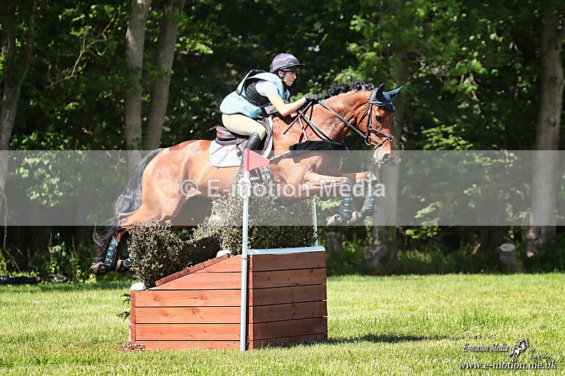 BEXC 300526 778a - Equestrian