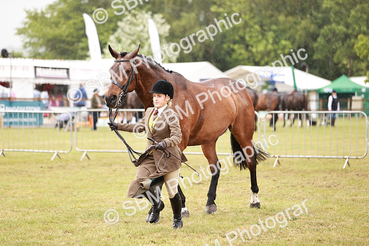 SBM_11005 - Class 81-84 - RIHS Ridden hunters Inc Ladies Hunter
