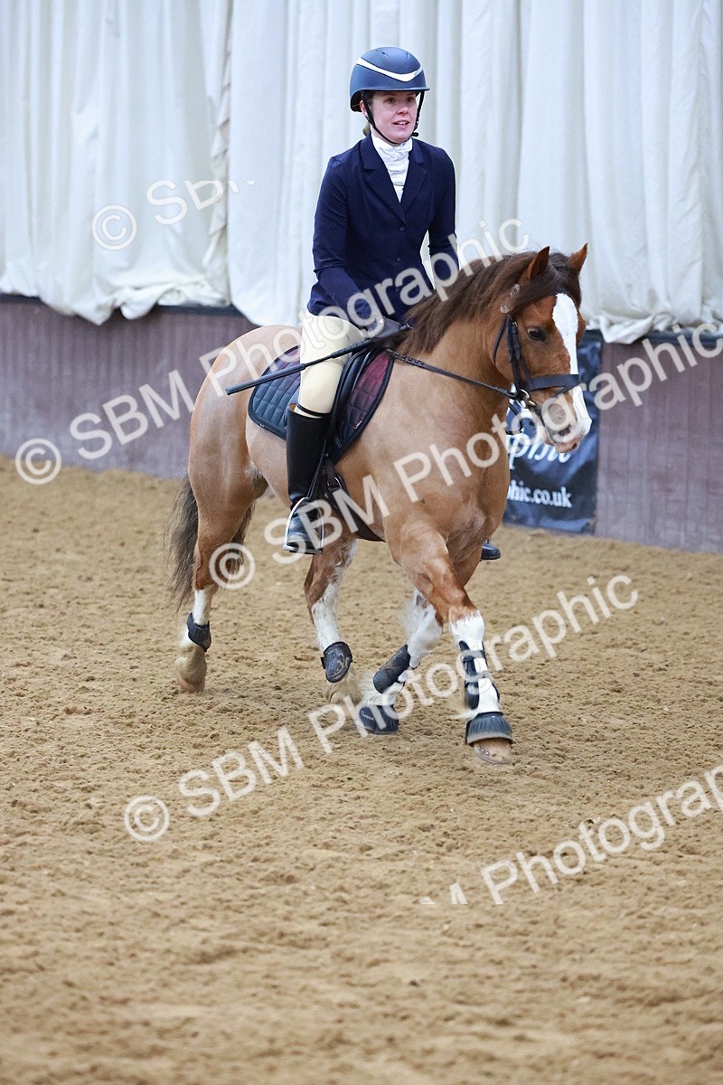SBM_000409 - Class 19 - 50cm