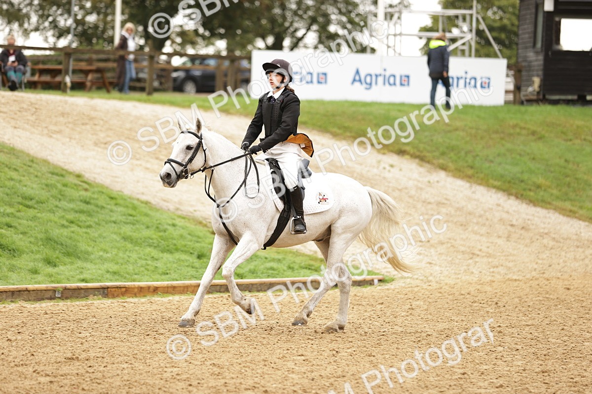 SBM_33029 - J38 - Senior Horse & Pony 80cm Championship