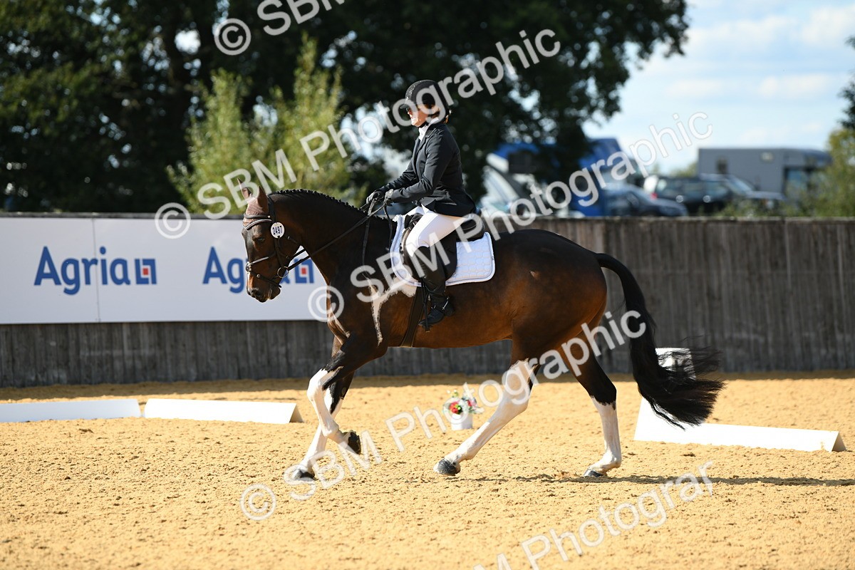 SBM_27014 - D16 - Small Tour Championship - Novice 28